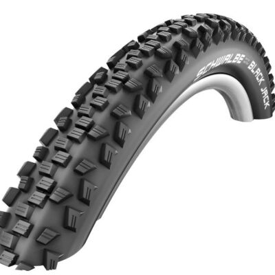 Schwalbe Black Jack LS 18×1.90 (47-355) mit KevlarGuard